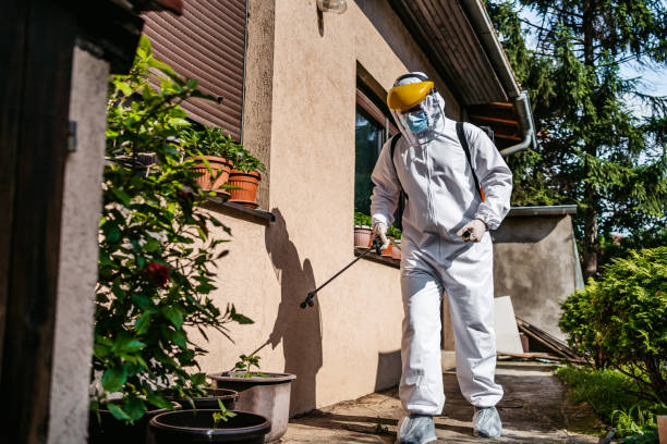 Best Wasp Removal Services  in Dimondale, MI