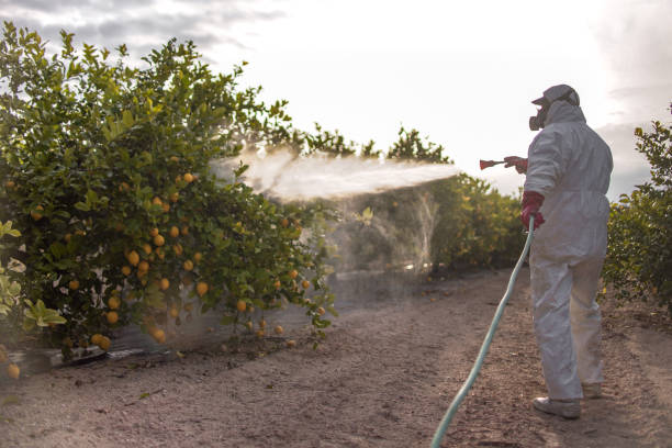 Best Termite Control Services  in Dimondale, MI