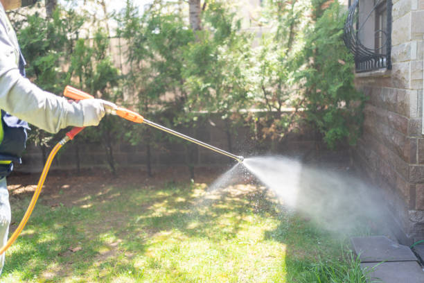 Best Insect Control  in Dimondale, MI