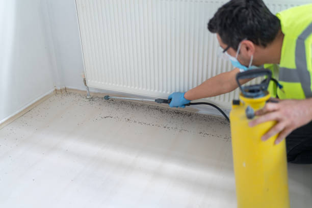 Best Pest Control Near Me  in Dimondale, MI